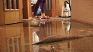 В одной из бельцких многоэтажек залило 40 квартир