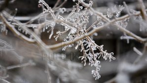 ЖЕЛТЫЙ КОД: синоптики предупреждают о заморозках