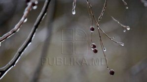 Синоптики объявили о заморозках в ночь на 3 апреля