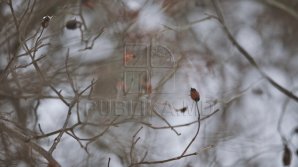 Объявлен желтый код метеоопасности в связи с заморозками