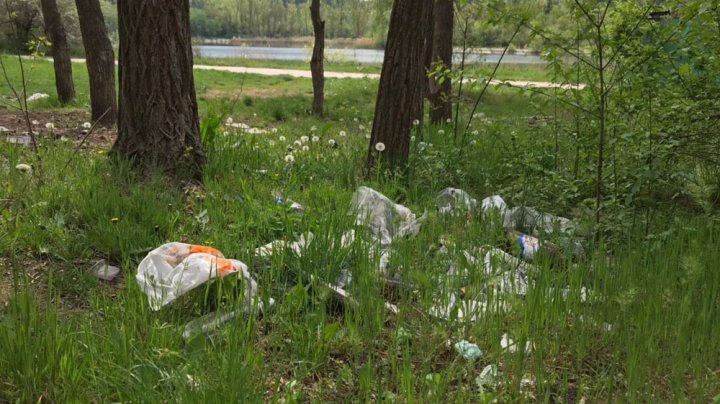 Празднуя Пасху в столичном парке, граждане забыли убрать за собой