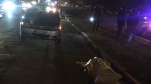 На проспекте Дачия насмерть сбили человека