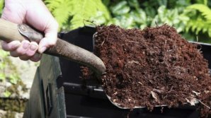 В штате Вашингтон разрешили превращать человеческие останки в плодородный компост