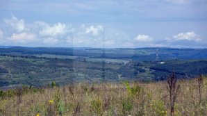 Прогноз погоды на 23 мая