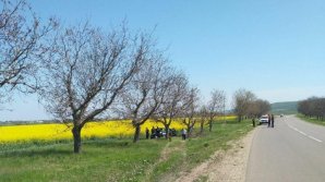 Супружеская пара погибла в ДТП в Комратском районе