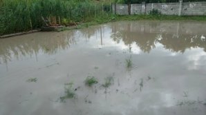 Молдова после проливных дождей: Оценка ущерба