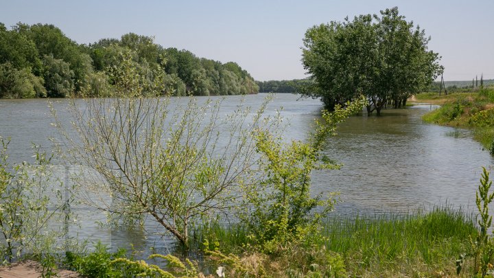 В селе Крокмаз района Штефан-Водэ продолжаются работы по укреплению дамбы