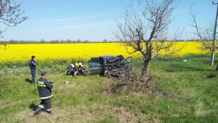 Супружеская пара погибла в ДТП в Комратском районе