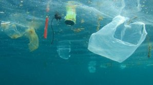 Два серфера собрали более 2 млн кг мусора в океане