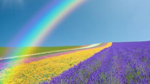 Прогноз погоды на 25 июня 