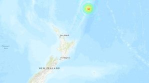 У берегов Новой Зеландии произошло сильное землетрясение