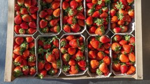 В столице хозяйки раскупают клубнику на варенье и компоты