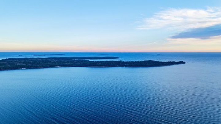 Ученые разработали уникальный метод изучения жизни