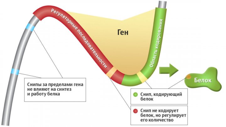 Раскрыта природа загадочной болезни, которой страдал Майкл Джексон