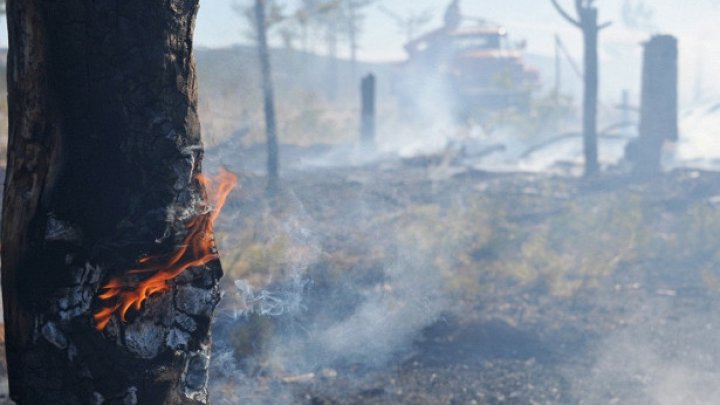 Сильный лесной пожар произошел на северо-востоке Испании