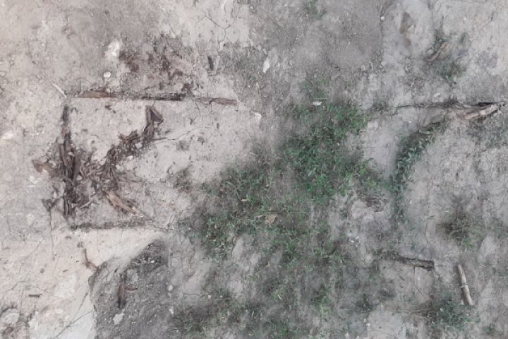 Страшная находка в селе Чишмикиой: В поле у дороги обнаружены человеческие останки (фото)