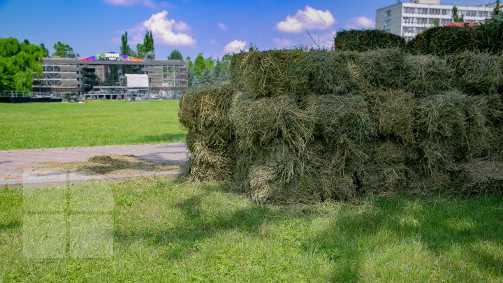 Подготовка к главному событию лета - Summer Fest в полном разгаре (фото)