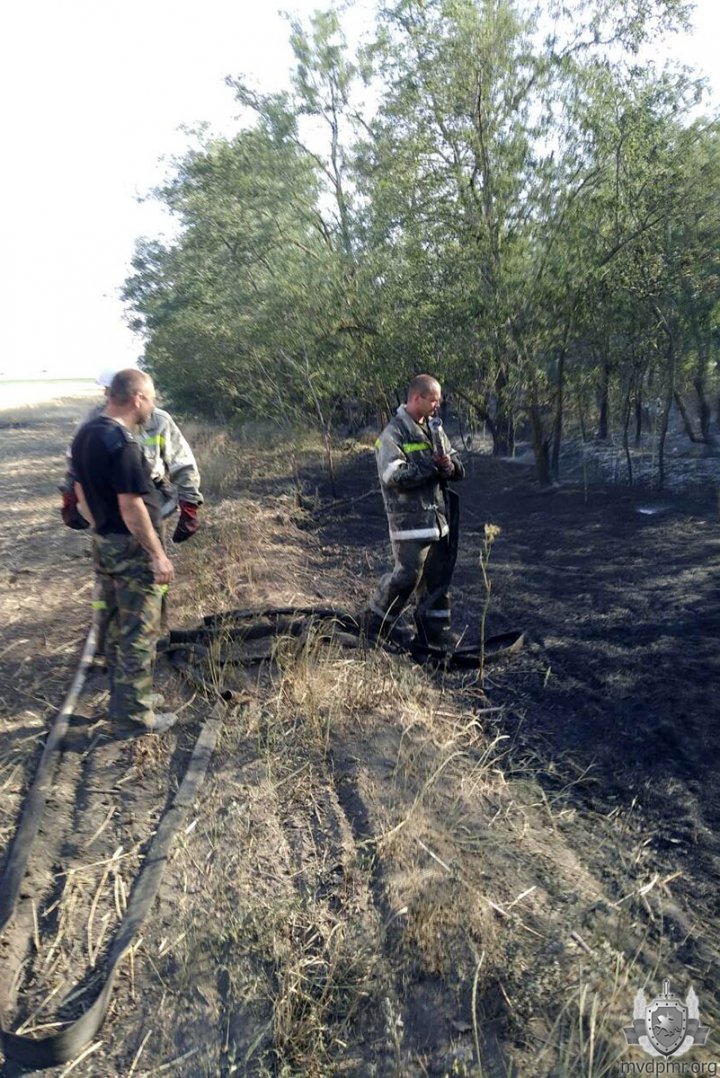 В Слободзее сгорело полгектара пшеницы