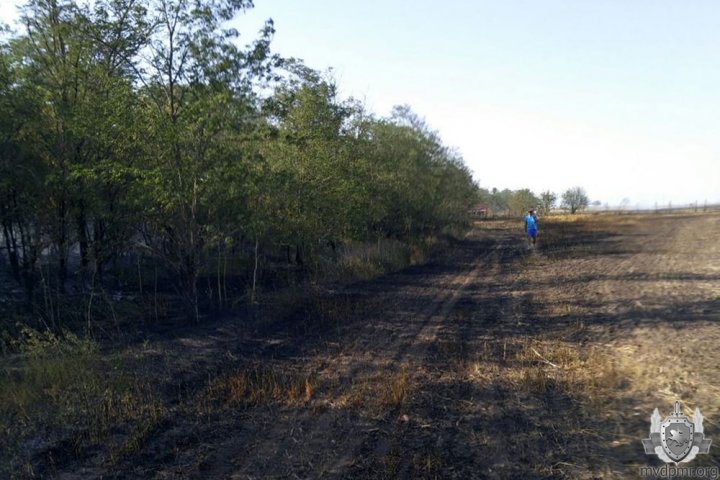 В Слободзее сгорело полгектара пшеницы