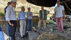 Во Франции нашли двухметровую бедренную кость динозавра