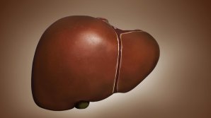 От гепатита и цирроза: новый тип клеток печени поможет восстановить повреждённый орган