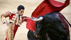 В Памплоне начался фестиваль корриды и забегов с быками