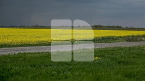 Прогноз погоды на 8 июля