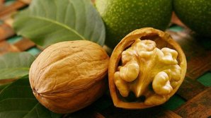 В минсельхозе ожидают прирост урожая грецких орехов на 15% 