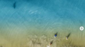 Отец сфотографировал детей на пляже и спас им жизнь