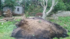 В Польше синоптиков обвиняют в гибели двух девочек-подростков