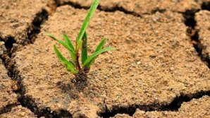 В Литве объявили режим ЧП из-за засухи