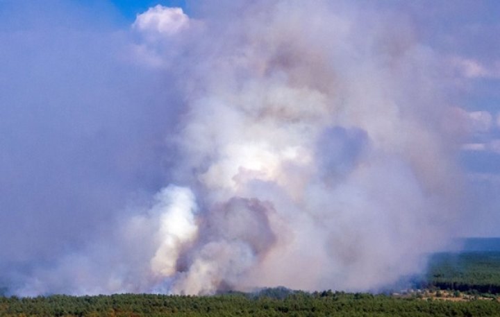 Масштабный лесной пожар бушует на севере Германии (фото)