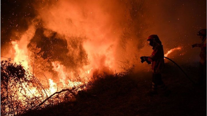 Лесные пожары в Португалии: пострадали 30 человек