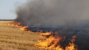 Синоптики объявили желтый код в связи с чрезвычайной пожарной опасностью