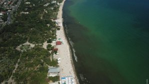 На одном из пляжей Одессы почернело море (видео)