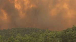 Пожарные третьи сутки не могут справиться с огнем на греческом острове Эвбея