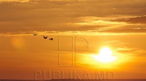 Прогноз погоды на 26 августа