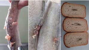 Бывший директор детсада №177 утверждает, что детей кормят испорченными продуктами