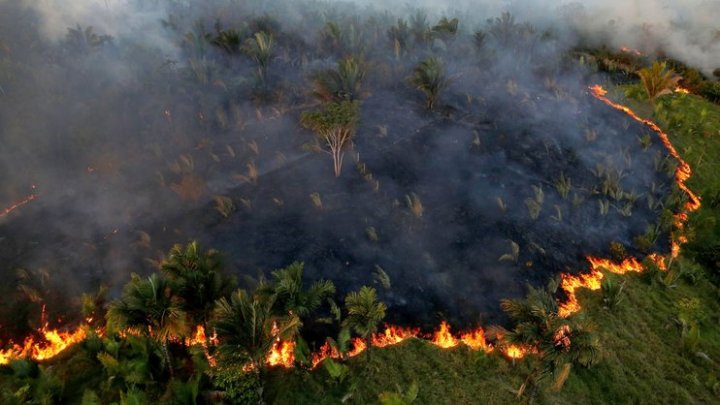 В лесах Амазонии полыхает рекордное в истории количество пожаров