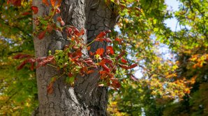 Прогноз погоды на 20 октября