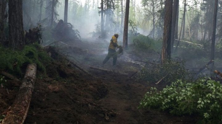 В Якутии лесные пожары уничтожили более 20 тысяч гектаров за выходные