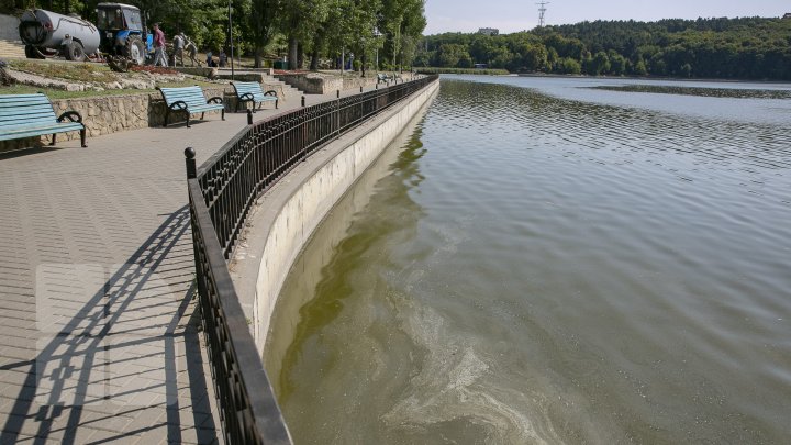 В озере парка Валя Морилор установили аппараты для очистки воды (фоторепортаж)