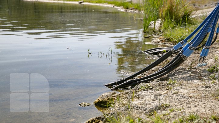 В озере парка Валя Морилор установили аппараты для очистки воды (фоторепортаж)