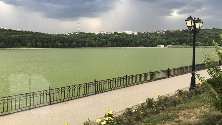 В озере парка Валя Морилор установили аппараты для очистки воды (фоторепортаж)