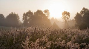 Названы самые безопасные страны в случае апокалипсиса, вызванного мировой эпидемией