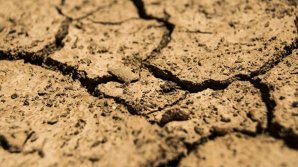 Названа новая смертельная угроза для человечества