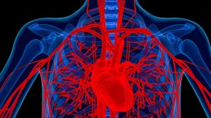 Два часа на операцию: в Институте кардиологии хирурги научились устанавливать искусственный аортальный клапан