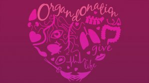 13 октября - Европейский день донорства и трансплантации