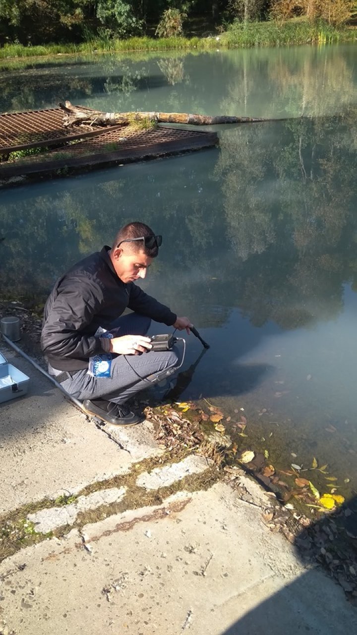 Экологическая катастрофа: в одном из столичных озер всплыла рыба (ФОТО)