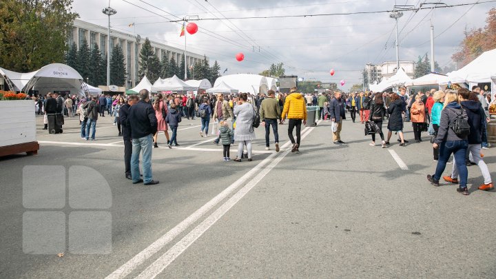 На площади Великого национального собрания вовсю отмечают День вина (ФОТО)